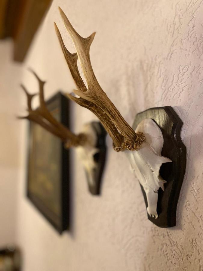 Gasthof Scherer Mühlbach am Hochkönig Eksteriør billede